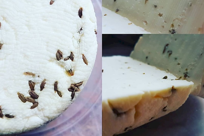 Fromage en grains au cumin